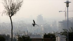 دریافت بیش از ۱۰۰ گزارش‌ مردمی از آلودگی‌ها و تخلفات زیست محیطی در قم