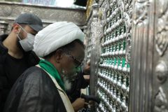 شیخ زکزاکی حرم مطهر حضرت معصومه(س) زیارت کرد