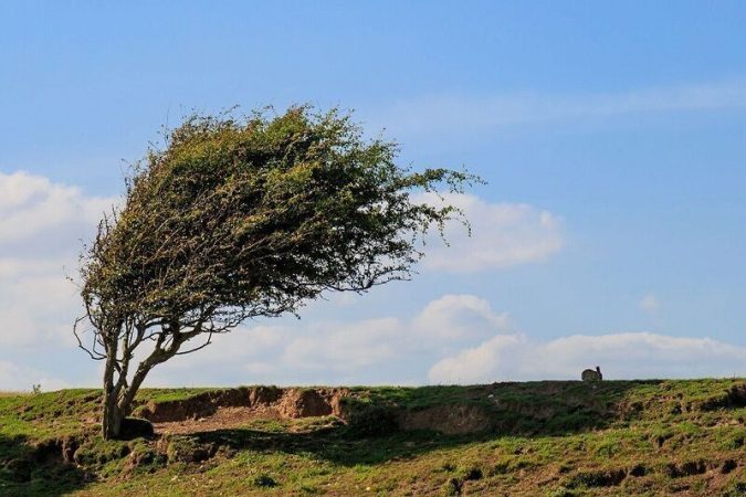 هشدار سطح زرد و وزش باد شدید در قم هشدار سطح زرد و وزش باد شدید در قم