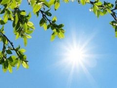 دمای هوای قم تا پایان هفته جاری افزایشی است
