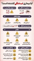 آیا بیماری تب دنگی کشنده است؟