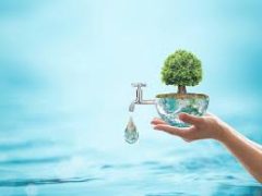 مدیرعامل آبفا قم: افزایش میزان مصرف آب در قم نگران کننده است