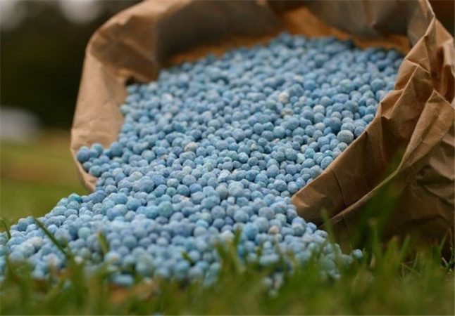 افزایش معنادار مصرف کودهای فسفاته و پتاسه در سال جاری افزایش معنادار مصرف کودهای فسفاته و پتاسه در سال جاری